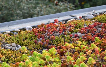 the cost of Trebetherick green roof installation