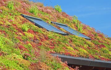 Trebetherick living roof systems