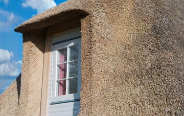 Trebetherick thatch roof disadvantages