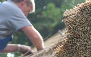 professional Trebetherick thatchers