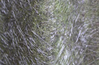 Trebetherick fibreglass roof work